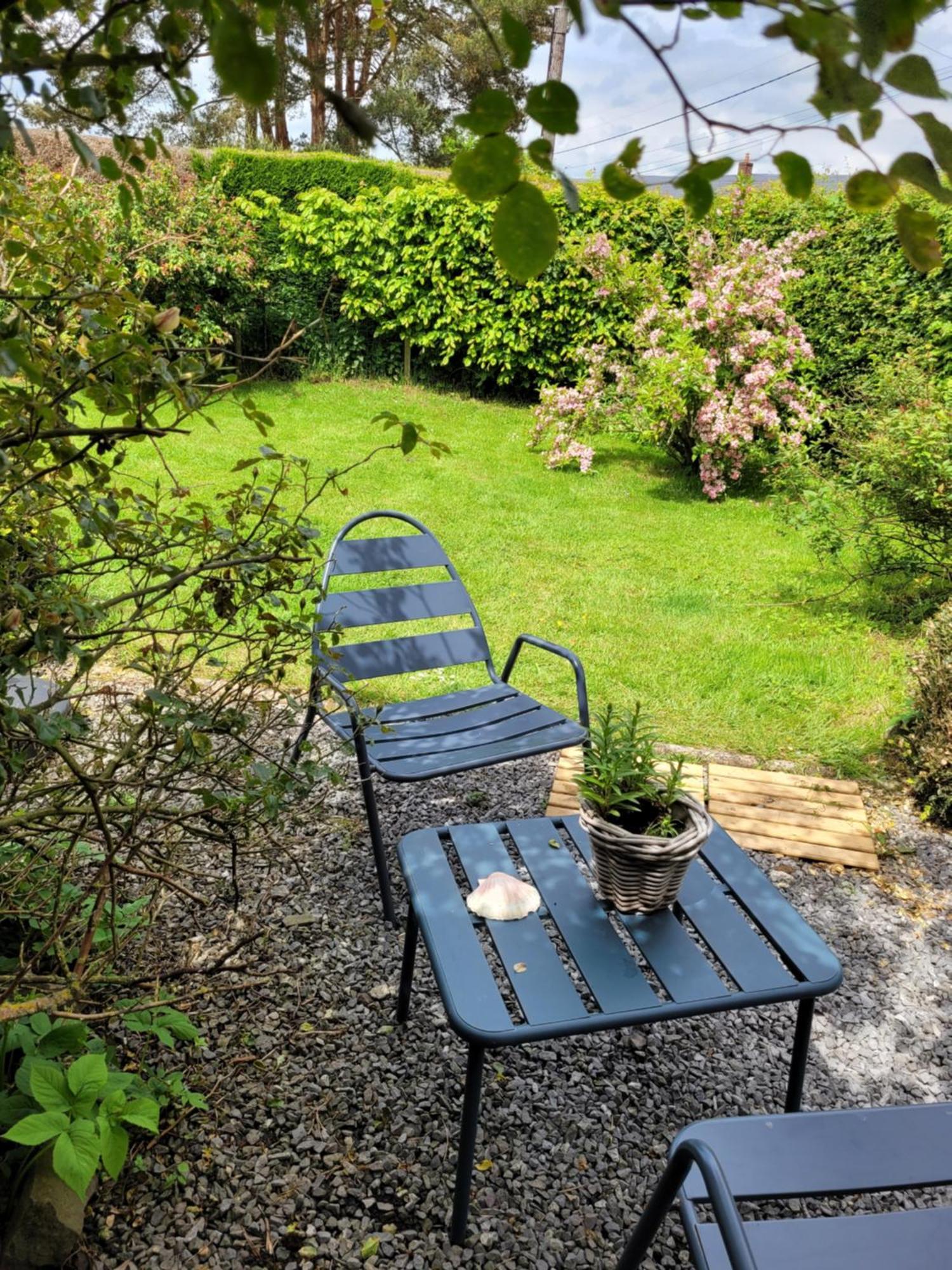 Studio Bienvenue Du Cote De Chez Nous Avec Jardin Privatif Wignehies 外观 照片